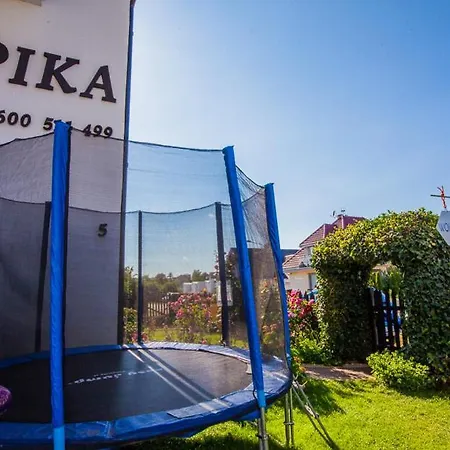 Pika Goscinne * Władysławowo