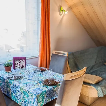 Pika Goscinne Władysławowo