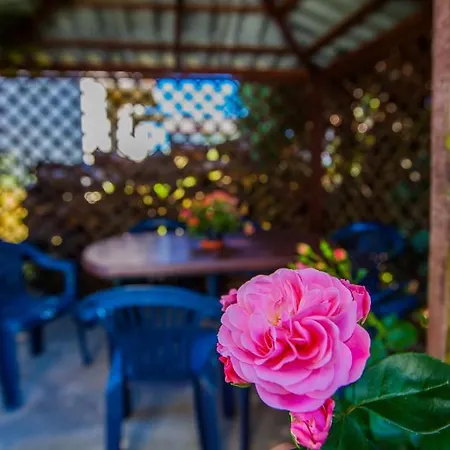 Pika Goscinne Appartement