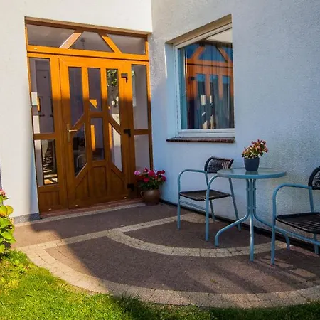 Pika Goscinne * Władysławowo