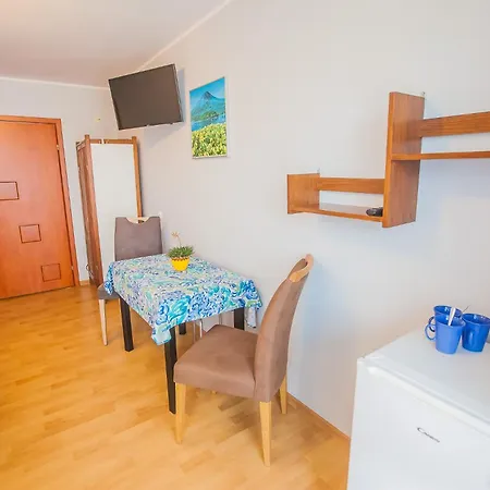 Pika Goscinne * Władysławowo