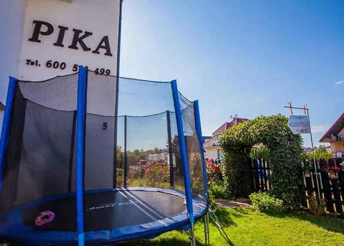 Pika Goscinne * Władysławowo