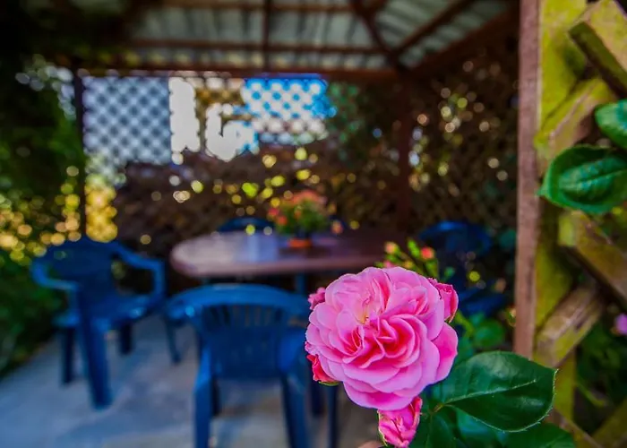 Pika Goscinne Apartment